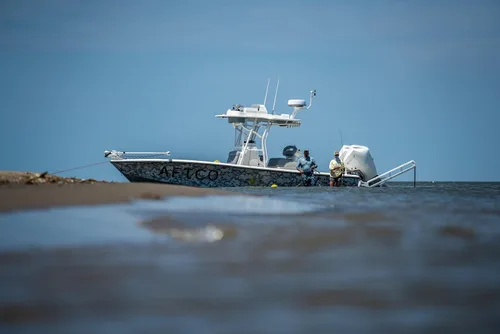 Vista 3 de Frabill Cubos de cebo Flow Troll