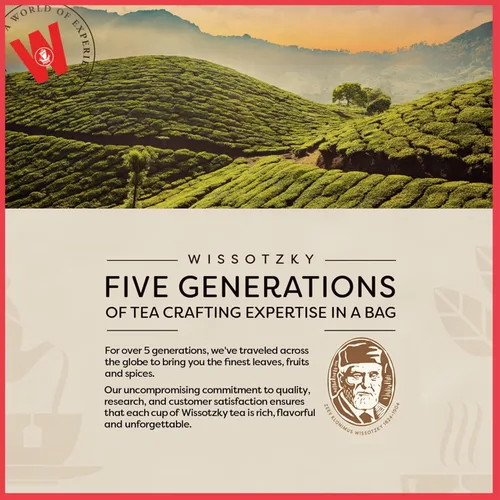 Vista 6 de Wissotzky Fruit Galore - Té de hierbas, 20 bolsas de té, té sin cafeína, rico en antioxidantes, mezcla afrutada, bolsas de té de hierbas