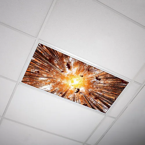 Vista 13 de OCTO LIGHTS Cubiertas decorativas de luz fluorescente para luces de techo de aula, 2 x 4 (22.38 x 46.5 pulgadas), mejora el enfoque, elimina dolores