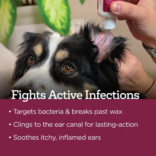 Vista 6 de Vetality Gotas óticas medicadas para tratamiento de infección de oído de perro, 2 onzas líquidas