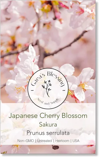 Semillas de Gaea's Blessing - Semillas de árbol de cerezo japonés en flor - Semillas de árbol sakura - Prunus serrulata - Semillas de árbol sin