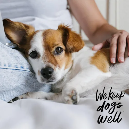 Vista 6 de DOGSWELL Remedy + Recovery Loción de hidrocortisona al 0.5% para perros, 4 onzas (el embalaje puede variar)