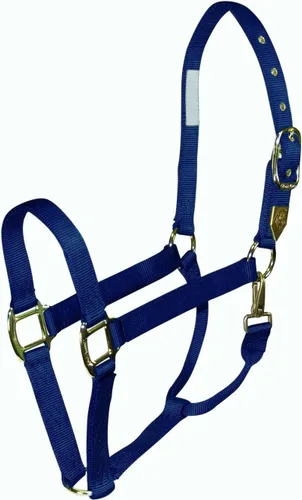 Vista 25 de Hamilton 1 cabestro de caballo con broche, tamaño pequeño (500-800 libras), bayas