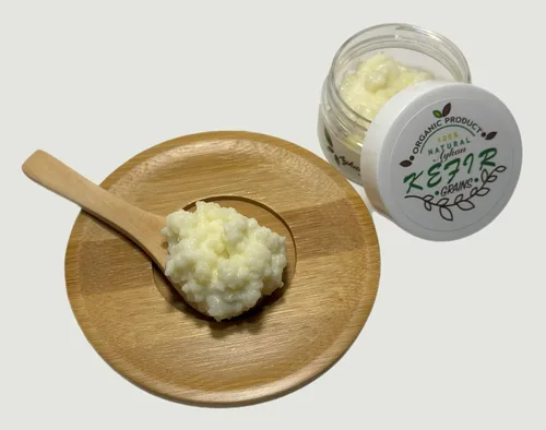 Granos de kéfir de leche, cultura de kéfir vivo, Bulgaros de Leche, el kit de inicio viene con todo para comenzar