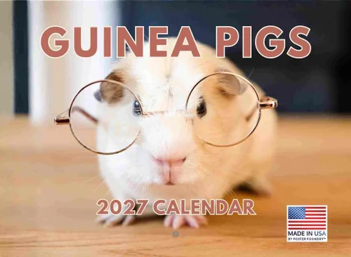 Vista 105 de Calendario de Cocodrilo 2026 Calendario de Pared Mensual 12 Meses Fabricado en Estados Unidos