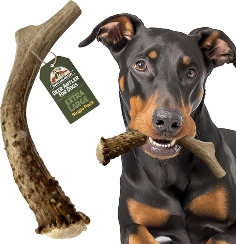 Vista 9 de Heartland - Astas de ciervo para perros - Masticables diarios para el cuidado dental para masticadores agresivos para reducir la placa y prevenir