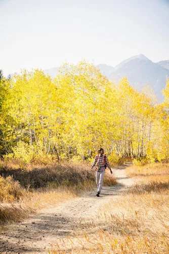 Vista 9 de SCARPA Botas Gore-Tex impermeables Terra GTX para mujer para senderismo y mochilero