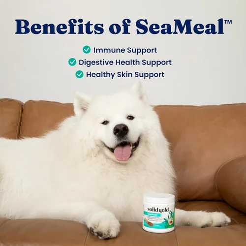 Vista 4 de Solid Gold SeaMeal Probióticos para Gatos y Probióticos para Perros para la Salud Digestiva - Suplemento Multivitamínico en Polvo de Kelp