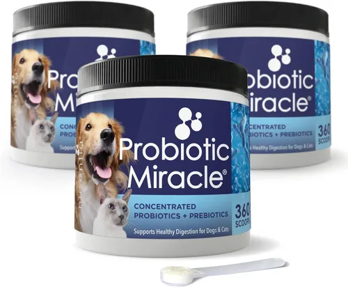 NUSENTIA Milagro probiótico para perros y gatos (paquete de 3) Ahorra $13. Elimina la diarrea, el estreñimiento, las heces sueltas, la levadura y
