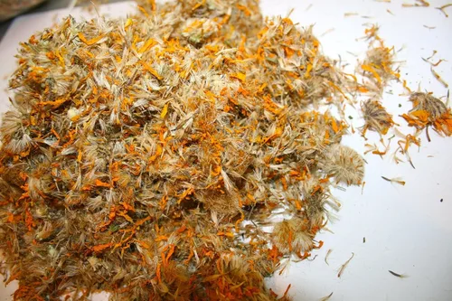 Vista 4 de Organic Bio Herbs -Árnica Montana seca orgánica (Arnica Montana) 6 onzas.