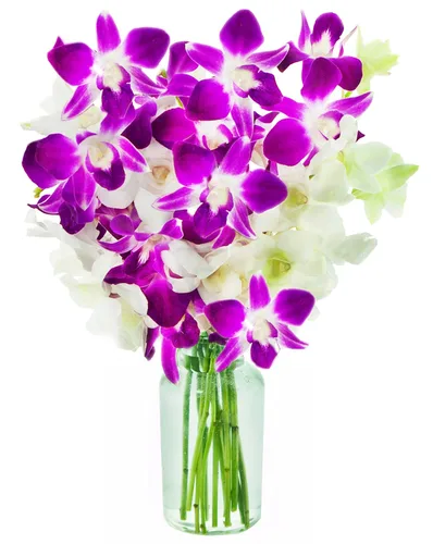 Vista 28 de KaBloom Flores - Ramo de orquídeas exóticas de zafiro azul sin jarrón - Regalo para cumpleaños, condolencias, agradecimiento, San Valentín, Día