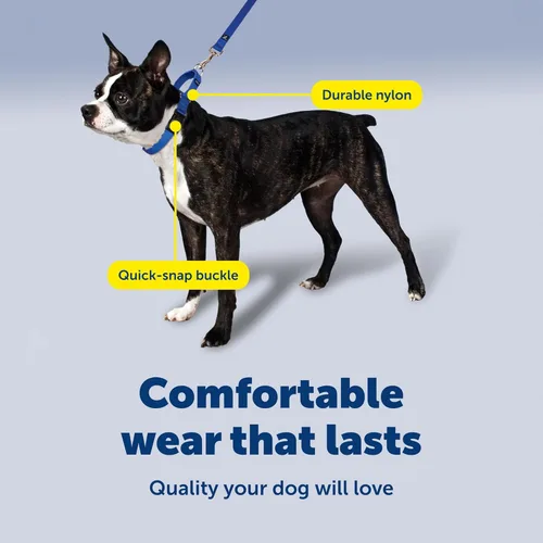 Vista 4 de Collar de la martingala de PetSafe Petite con hebilla rápida instantánea, Raspberry