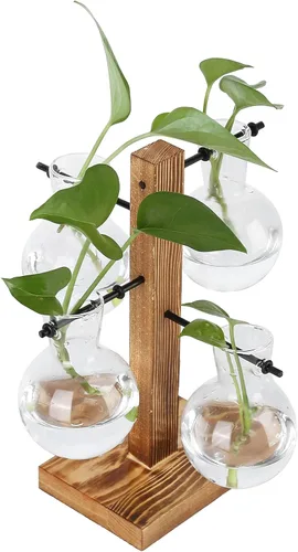 Vista 3 de Asixxsix Terrarios de plantas con soporte de madera, soporte retro para macetas hidropónicas de escritorio con 4 bombillas para propagar plantas