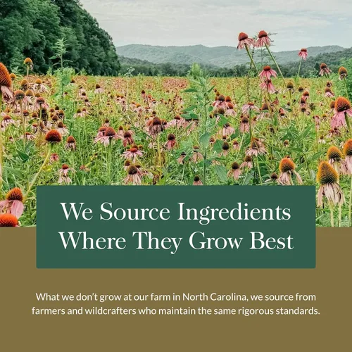 Vista 9 de Gaia Herbs Soporte para la tiroides – Fabricado con Ashwagandha, algas marinas marrones y Schisandra para apoyar el equilibrio metabólico saludable