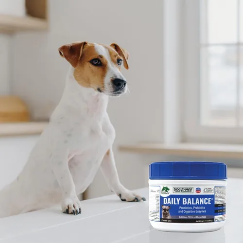 Vista 5 de DOGZYMES Potenciador digestivo en polvo soluble para perros (8 onzas)