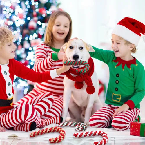 Vista 4 de Liliful 24 juguetes de cuerda de Navidad para perros, juguetes de cuerda de caramelo para perros, juguetes de Navidad para masticar para perros