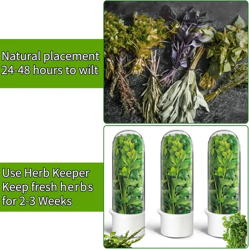 Vista 6 de Conservador de hierbas para refrigerador, vaina conservadora de hierbas, recipientes de cilantro para refrigerador, conservador de hierbas frescas
