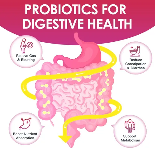Vista 4 de DRFOSTER Probióticos para mujeres Salud digestiva, probióticos vaginales 120 mil millones de UFC, 31 cepas con enzimas digestivas y prebióticos y D