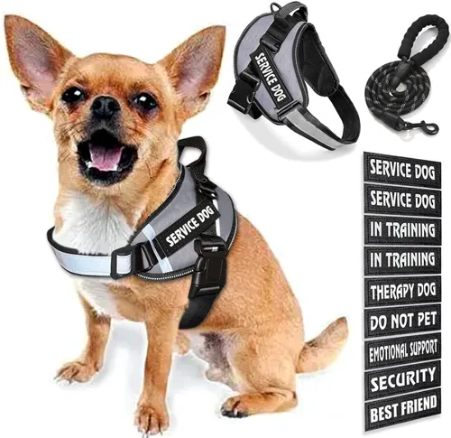 Vista 31 de Chaleco para Perro de Servicio, 9 Parches Arnés para Perro sin Tirones y Correa con Asa, Chaleco para Mascota Fácil de Poner y Quitar con Correas
