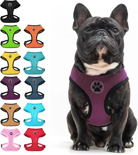 Vista 15 de BINGPET Arnés para perro sin tirones, arnés de chaleco tipo step-in de malla para todo clima para perros pequeños, arnés de malla transpirable