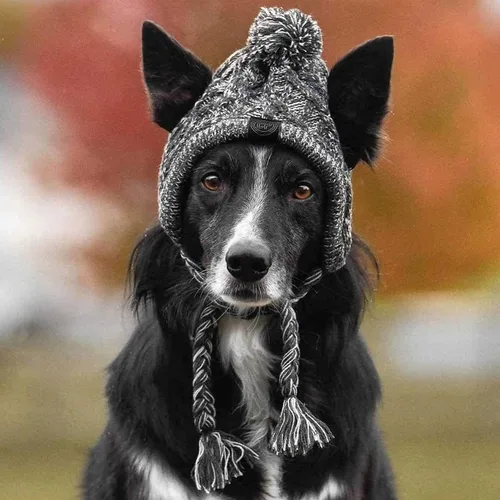 Vista 2 de Sombreros suaves de invierno para perros, gorro de punto cálido para perro, resistente al viento, sombrero de bulldog francés para perros pequeños