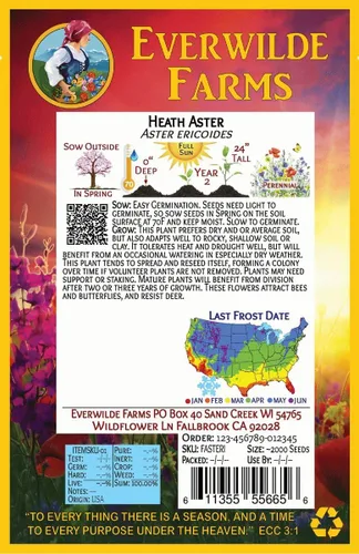 Vista 3 de everwilde granjas – Heath Aster Native semillas de flores silvestres – oro Vault