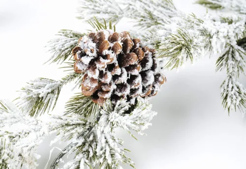 Vista 3 de CraftMore Guirnalda de pino Ashland de 6 pies