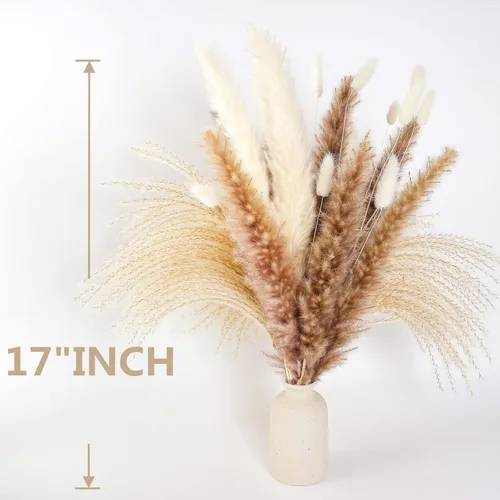 Vista 3 de Decoración de hierba de pampa seca natural, 100 piezas de hierba de pampa que contiene colas de conejo blancas flores secas, ramo de hierba de caña