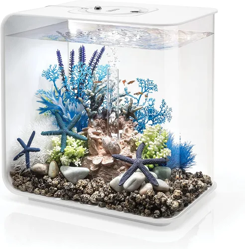 Vista 10 de biOrb Flow 15 - Acuario acrílico de 4 galones con luces LED blancas, moderno y compacto para exhibición en mesa o escritorio, negro