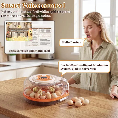 Vista 4 de Incubadora de 26 huevos con control de voz inteligente y control automático de temperatura/humedad
