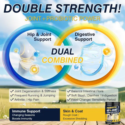 Vista 2 de Suplemento para cadera y articulaciones para perros, probióticos para perros, glucosamina, condroitina, MSM, masticables para alivio del dolor
