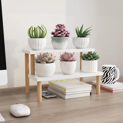 Pequeño soporte para plantas de interior con escalera, estante de escritorio, 2 niveles, soporte para flores en el alféizar de la ventana, soporte