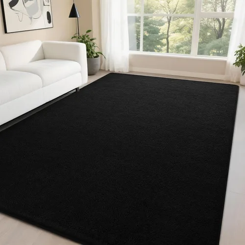 DweIke Alfombra de área de 4 x 6 pies para sala de estar, alfombras negras súper suaves para dormitorio, alfombra moderna estética lavable de espuma