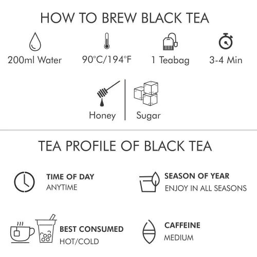 Vista 63 de Octavius Paquete de muestra de té Surtido de tés verdes Té verde de anís canela 50 bolsas de té de doble cámara envueltas Paquete variado