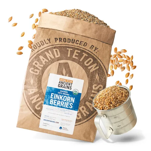Vista 10 de Grand Teton Ancient Grains - Bayas de Einkorn 100% orgánicas, Farro Piccolo de grado alimenticio premium, bayas de trigo Einkorn, grano de Einkorn