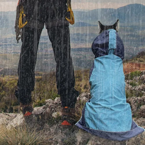 Vista 3 de Impermeable para perro, chaqueta impermeable para perro, chaqueta reflectante para perro con capucha, poncho ligero para perro, abrigo impermeable