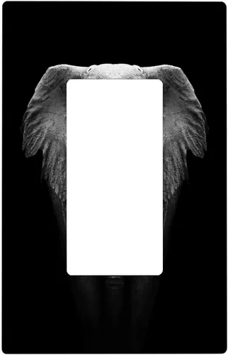 Vista 53 de Placa de interruptor de luz de elefante indio de 1 banda, placa de pared basculante individual, placa decorativa eléctrica GFCI para decoración