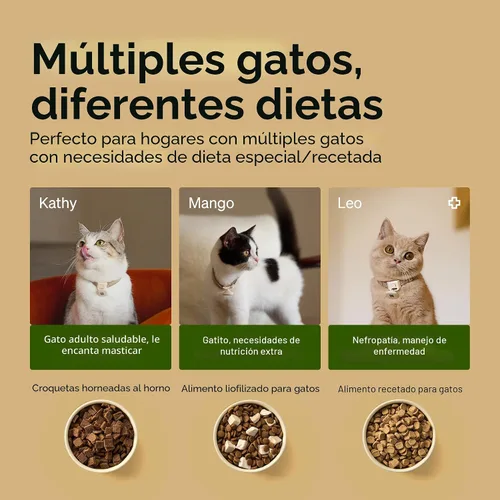 Vista 7 de PETLIBRO Alimentadores RFID para 2 gatos, sensor de collar para comidas personalizadas, reconocimiento de gatos, seguimiento de dieta y antirrobo