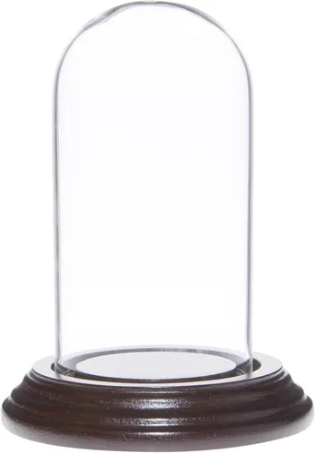 Vista 3 de Plymor Mini cúpula de cristal de 2 x 4 pulgadas (base de chapa de madera negra)