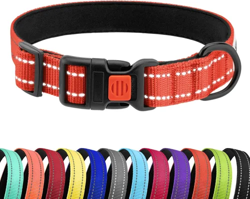 Vista 33 de CollarDirect Reflective Dog Collar for a Small, Medium, Large Dog or Puppy with a Quick Release Buckle - Boy and Girl - Nylon Suitable for Swimming