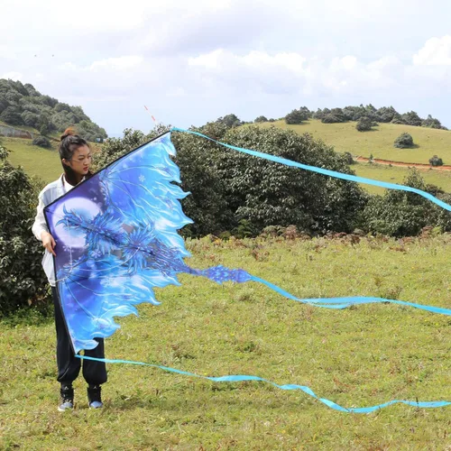 Vista 7 de Mint's Colorful Life Cometa de avión y cometa de dragón para niños y adultos