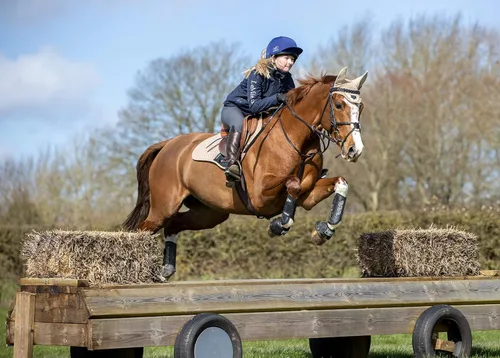Vista 9 de LeMieux Botas para caballos de fondo - Equipo de protección y equipo de entrenamiento - Botas equinas, envolturas y accesorios