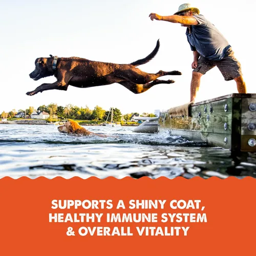 Vista 6 de Grizzly Aceite de salmón Complemento alimenticio para gatos Omega 3 ácidos grasos, 4 onzas