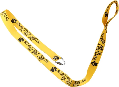 Vista 4 de Divertida correa para perro selectivamente social, no mascotas, correa para perros para caminar, entrenamiento, correas para perros, dueño