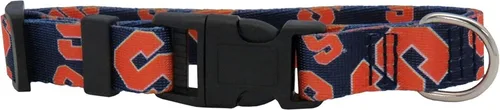 Vista 45 de Littlearth Collar para mascotas del equipo NCAA
