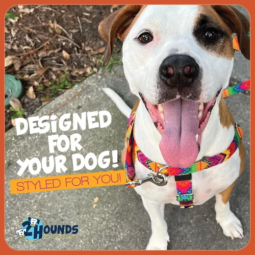 Vista 7 de 2 Hounds Design Freedom - Arnés para perro sin tirones, arnés ajustable y correa, fácil de caminar y control cómodo, se adapta a perros pequeños