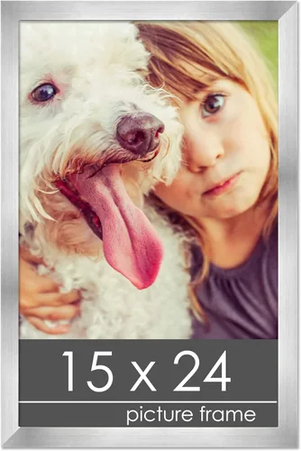 Vista 122 de Marco de madera de peltre plateado de 19 x 25 pulgadas con plexiglás acrílico UV, respaldo de tablero de espuma y accesorios incluidos