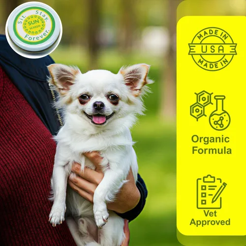 Vista 6 de Sit Stay Forever - Protector solar orgánico para perros y gatos, protector solar para perros, esenciales para la playa para perros, crema