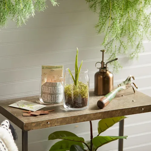 Vista 6 de Yankee Candle Sparkling Cinnamon Signature - Vela perfumada en tarro mediano de 13 onzas, de dos mechas, más de 35 horas de combustión, aroma