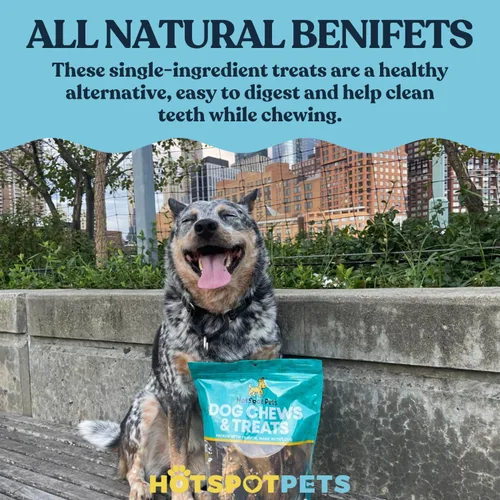 Vista 8 de Hotspot Pets Palitos trenzados para perros, huesos de perro de 6 pulgadas (paquete de 5) masticables naturales de larga duración para perros